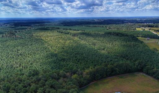 Photo #33 of Off E Pleasant Hill Rd, Pink Hill, NC 81.0 acres