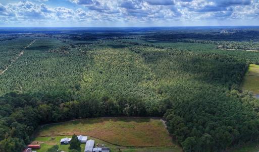 Photo #35 of Off E Pleasant Hill Rd, Pink Hill, NC 81.0 acres