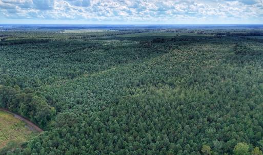 Photo #4 of Off E Pleasant Hill Rd, Pink Hill, NC 81.0 acres