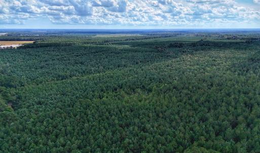 Photo #5 of Off E Pleasant Hill Rd, Pink Hill, NC 81.0 acres