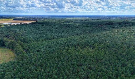 Photo #6 of Off E Pleasant Hill Rd, Pink Hill, NC 81.0 acres