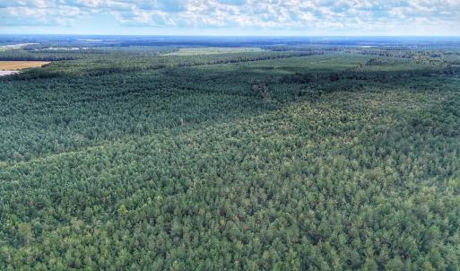 Photo #7 of Off E Pleasant Hill Rd, Pink Hill, NC 81.0 acres