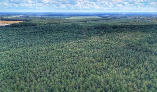 Photo #8 of Off E Pleasant Hill Rd, Pink Hill, NC 81.0 acres