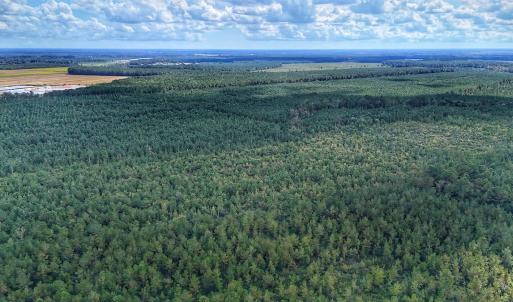 Photo #9 of Off E Pleasant Hill Rd, Pink Hill, NC 81.0 acres