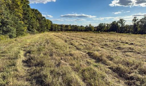 Photo #12 of Off Ephesus Church Road, Semora, NC 17.5 acres