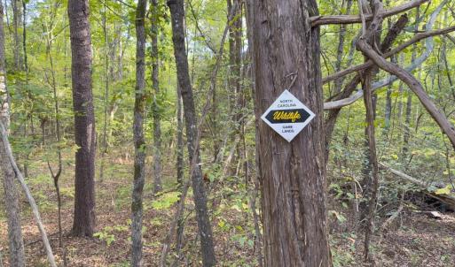 Photo #13 of Off Ephesus Church Road, Semora, NC 17.5 acres
