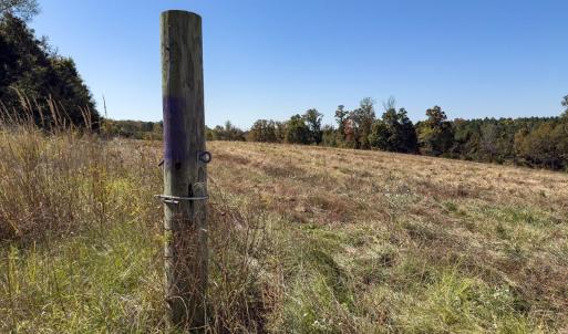 Photo #15 of Off Ephesus Church Road, Semora, NC 17.5 acres