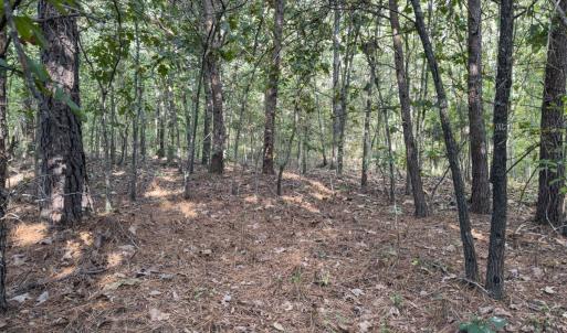 Photo #16 of Off Ephesus Church Road, Semora, NC 17.5 acres