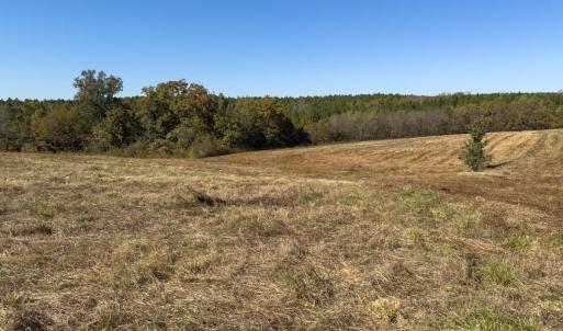 Photo #20 of Off Ephesus Church Road, Semora, NC 17.5 acres