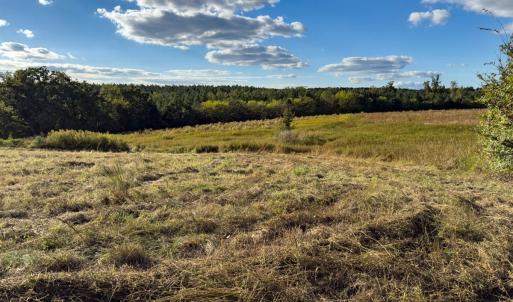 Photo #4 of Off Ephesus Church Road, Semora, NC 17.5 acres