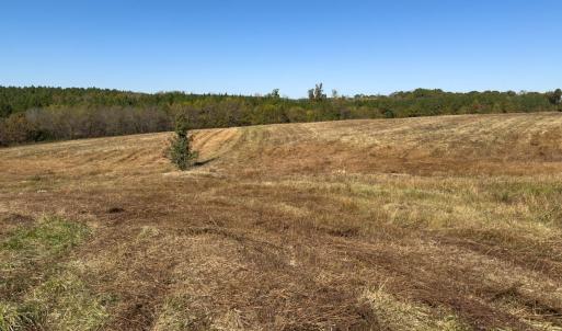 Photo #28 of Off Ephesus Church Road, Semora, NC 17.5 acres