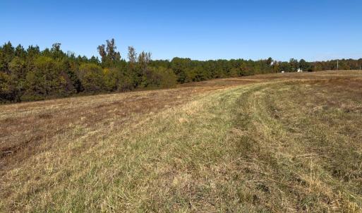 Photo #31 of Off Ephesus Church Road, Semora, NC 17.5 acres