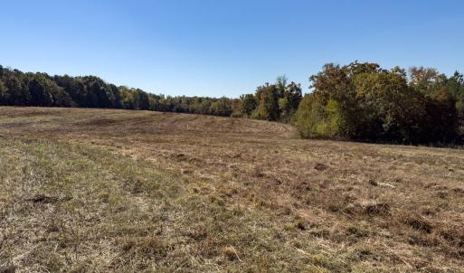 Photo #37 of Off Ephesus Church Road, Semora, NC 17.5 acres