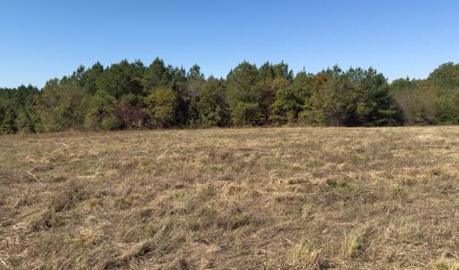 Photo #41 of Off Ephesus Church Road, Semora, NC 17.5 acres