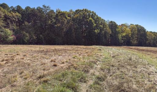 Photo #42 of Off Ephesus Church Road, Semora, NC 17.5 acres