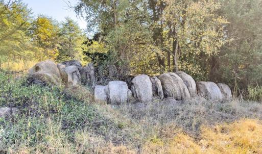 Photo #43 of Off Ephesus Church Road, Semora, NC 17.5 acres