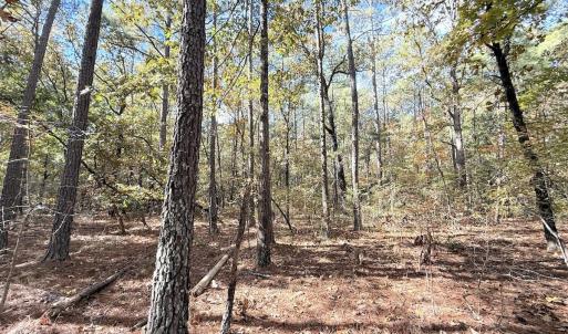 Photo #11 of Off Elfman Dr, Spring Lake, NC 0.5 acres