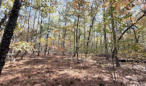 Photo #12 of Off Elfman Dr, Spring Lake, NC 0.5 acres