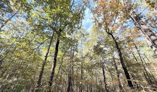 Photo #16 of Off Elfman Dr, Spring Lake, NC 0.5 acres