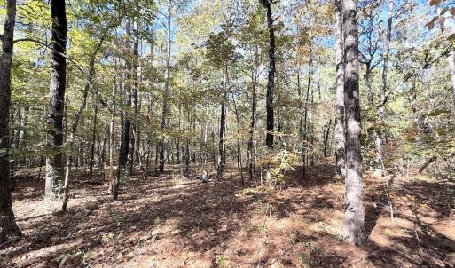 Photo #17 of Off Elfman Dr, Spring Lake, NC 0.5 acres