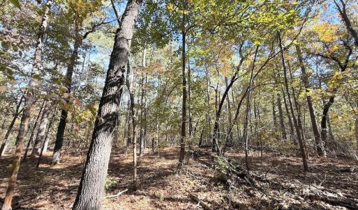 Photo #18 of Off Elfman Dr, Spring Lake, NC 0.5 acres