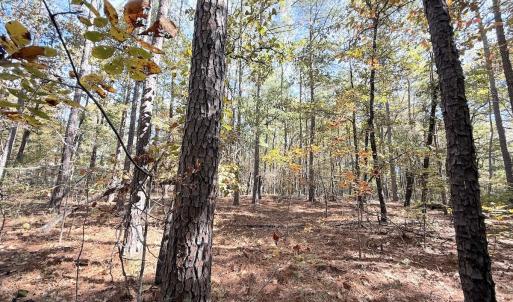 Photo #19 of Off Elfman Dr, Spring Lake, NC 0.5 acres