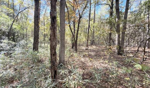 Photo #20 of Off Elfman Dr, Spring Lake, NC 0.5 acres