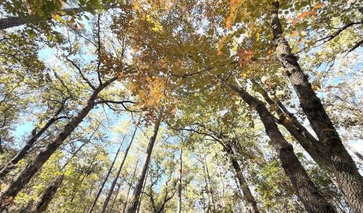 Photo #22 of Off Elfman Dr, Spring Lake, NC 0.5 acres