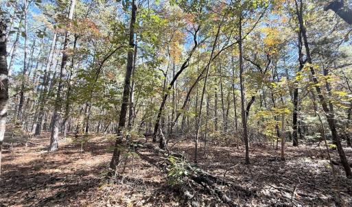 Photo #24 of Off Elfman Dr, Spring Lake, NC 0.5 acres
