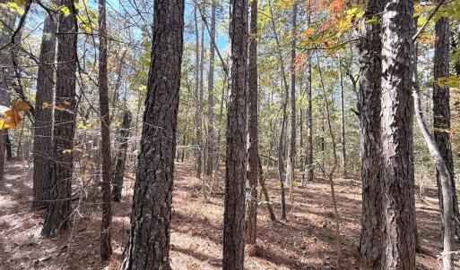 Photo #3 of Off Elfman Dr, Spring Lake, NC 0.5 acres
