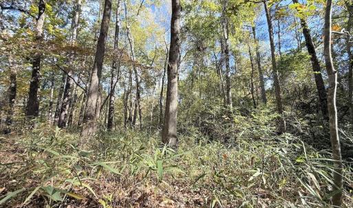 Photo #4 of Off Elfman Dr, Spring Lake, NC 0.5 acres