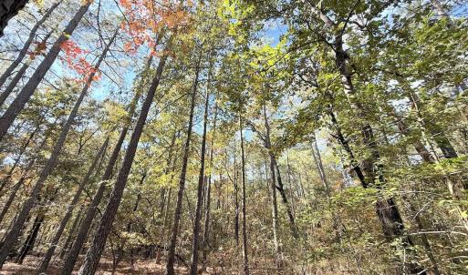 Photo #5 of Off Elfman Dr, Spring Lake, NC 0.5 acres