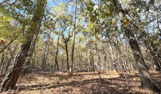 Photo #9 of Off Elfman Dr, Spring Lake, NC 0.5 acres