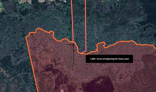 Photo #10 of 24451 Highway 50 , Maple Hill, NC 11.0 acres