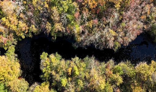 Photo #11 of 24451 Highway 50 , Maple Hill, NC 11.0 acres