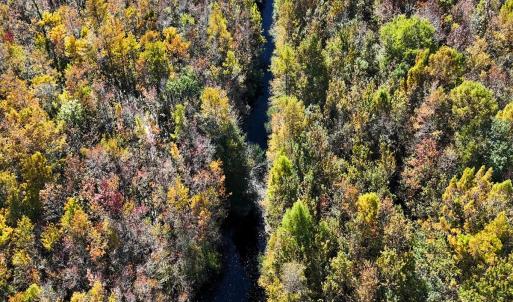 Photo #12 of 24451 Highway 50 , Maple Hill, NC 11.0 acres