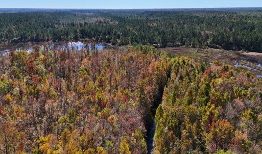 Photo #13 of 24451 Highway 50 , Maple Hill, NC 11.0 acres