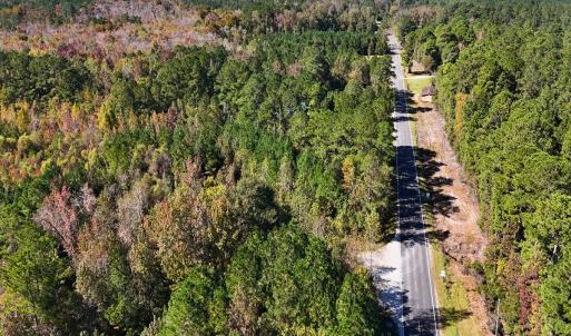 Photo #20 of 24451 Highway 50 , Maple Hill, NC 11.0 acres