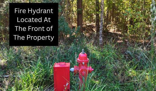 Photo #23 of 24451 Highway 50 , Maple Hill, NC 11.0 acres