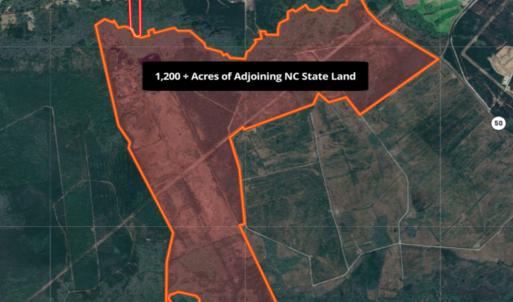 Photo #29 of 24451 Highway 50 , Maple Hill, NC 11.0 acres