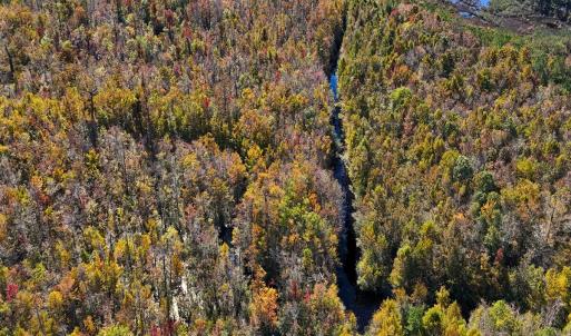 Photo #30 of 24451 Highway 50 , Maple Hill, NC 11.0 acres