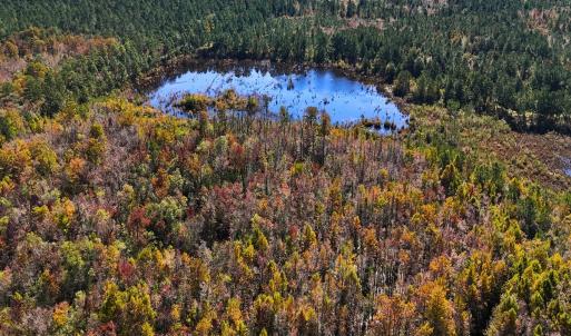 Photo #31 of 24451 Highway 50 , Maple Hill, NC 11.0 acres