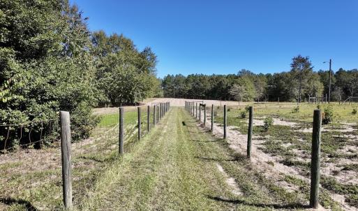 Photo #33 of 2338 Etters Lane, Cassatt, SC 28.0 acres