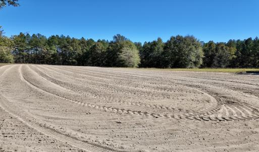 Photo #36 of 2338 Etters Lane, Cassatt, SC 28.0 acres