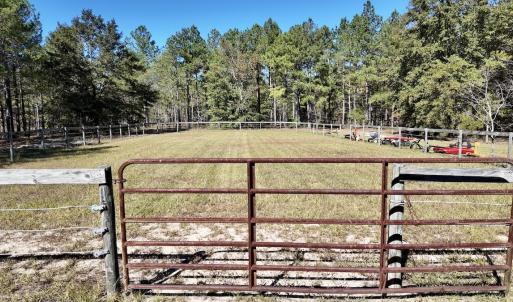 Photo #42 of 2338 Etters Lane, Cassatt, SC 28.0 acres