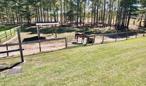 Photo #48 of 2338 Etters Lane, Cassatt, SC 28.0 acres