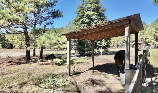 Photo #50 of 2338 Etters Lane, Cassatt, SC 28.0 acres