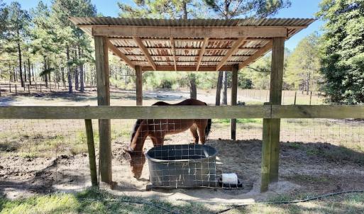 Photo #51 of 2338 Etters Lane, Cassatt, SC 28.0 acres