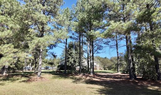 Photo #52 of 2338 Etters Lane, Cassatt, SC 28.0 acres