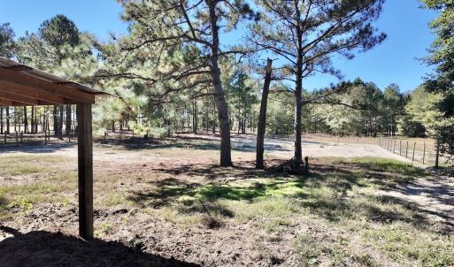 Photo #53 of 2338 Etters Lane, Cassatt, SC 28.0 acres